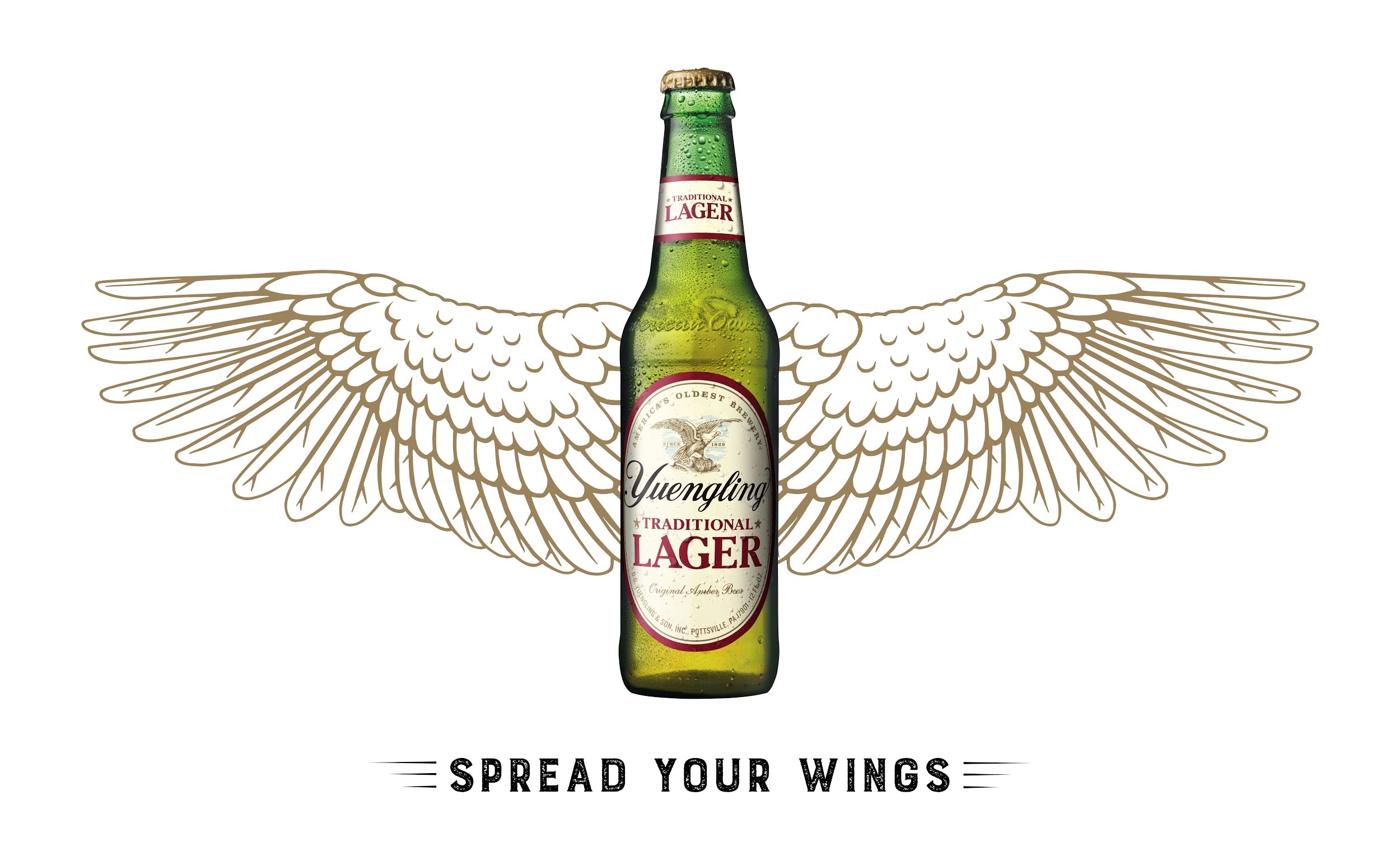 Yuengling® Expands Distribution to Arkansas